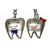Dental Double Keychain / Keyring Tooth Promotion Stainless Steel Decoration Pack of 5 SK-DG-KC01